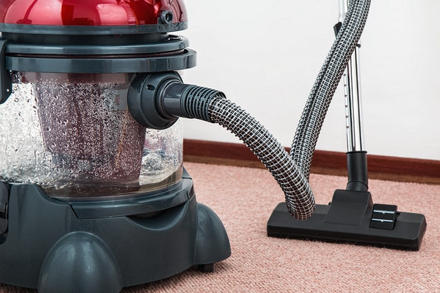 Why You Should Hire Carpet Cleaners to Remove Pet Stains