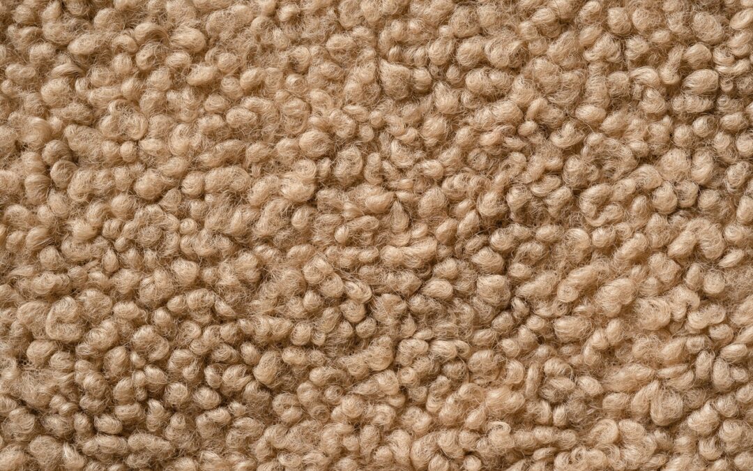 5 Simple and Helpful Tips for Cleaning Your Wool Carpet
